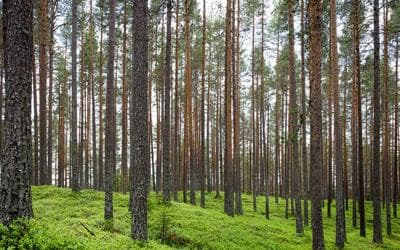 Understanding IC Datasheets: A Beginner's Guide for Engineers