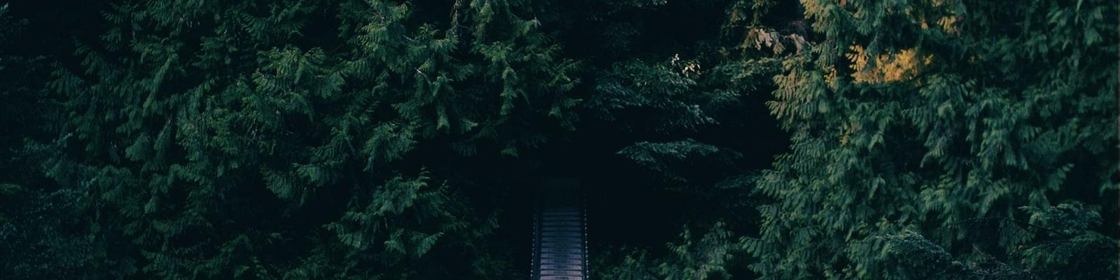 Why Sourcing Electronic Components from Verified Distributors Matters